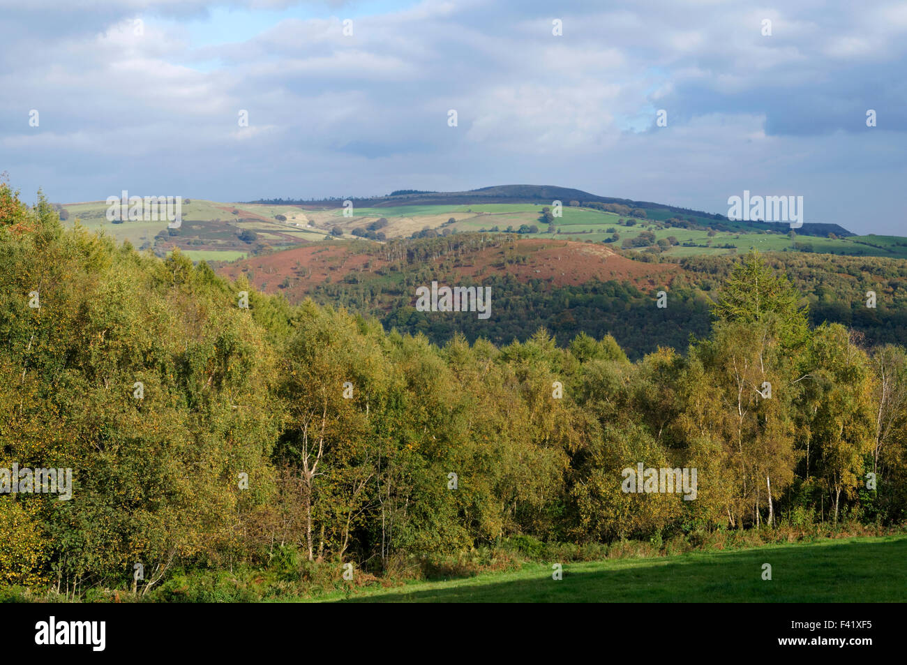 Rhymney Valley from hill above Llanbradach, South Wales Valleys, UK. Stock Photo