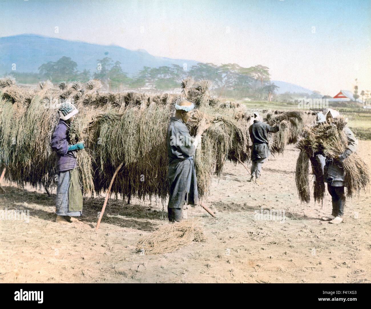 Farmers in field, Japan Stock Photo