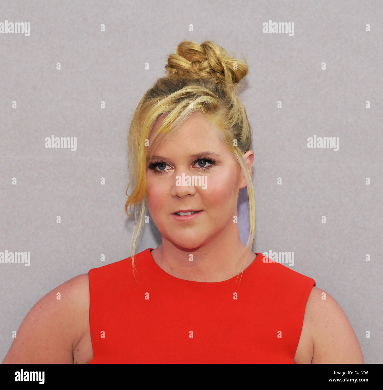 Premiere of 'Trainwreck' at The Hague  Featuring: Amy Schumer Where: The Hague, Netherlands When: 12 Aug 2015 Stock Photo