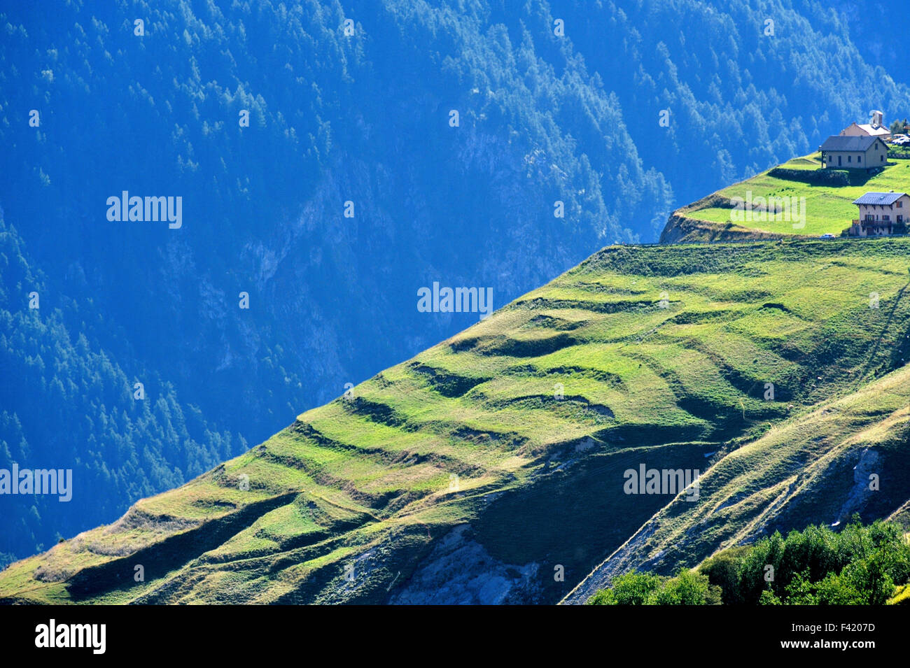 Terrace farming steep hi-res stock photography and images - Alamy