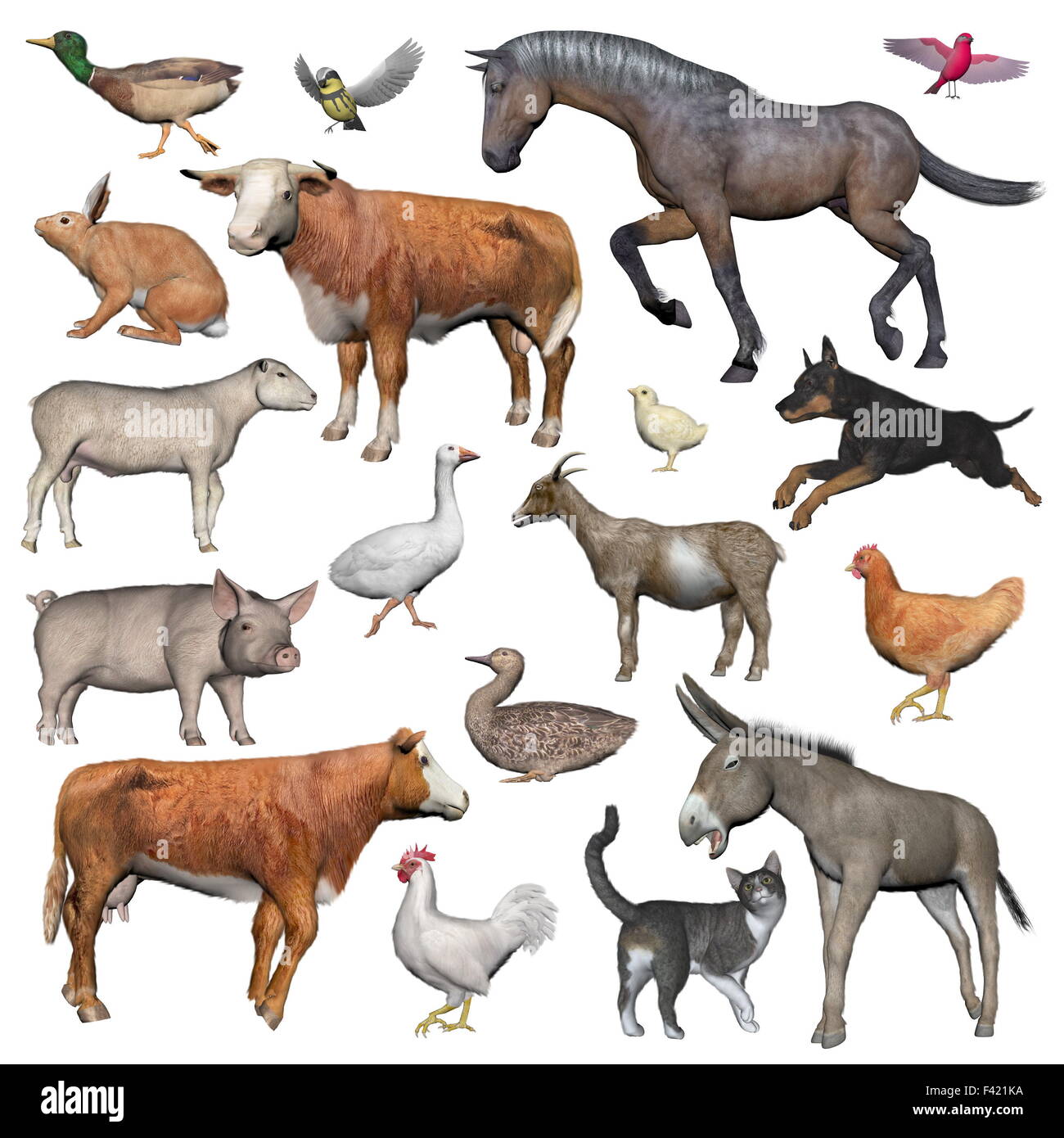 Set of farm animals - 3D render Stock Photo - Alamy
