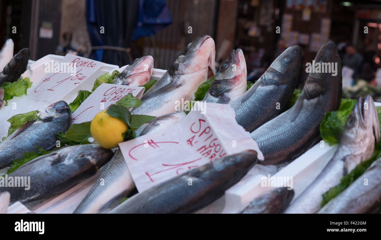Fish market in Naples Stock Photo Alamy