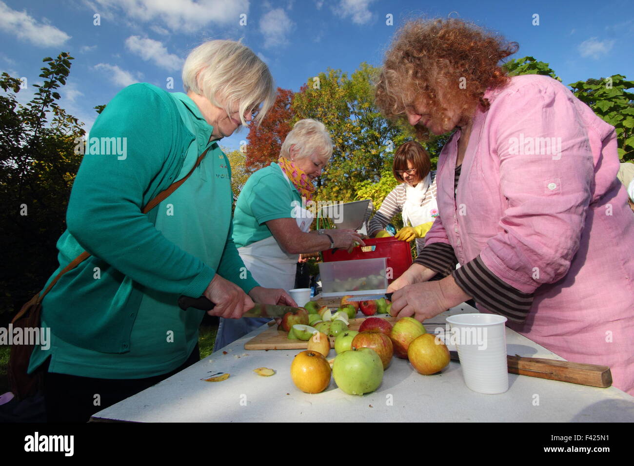 People prepare locally grown apples for pressing into juice at an annual community Apple Day celebration in Sheffield  South Yorkshire UK Stock Photo