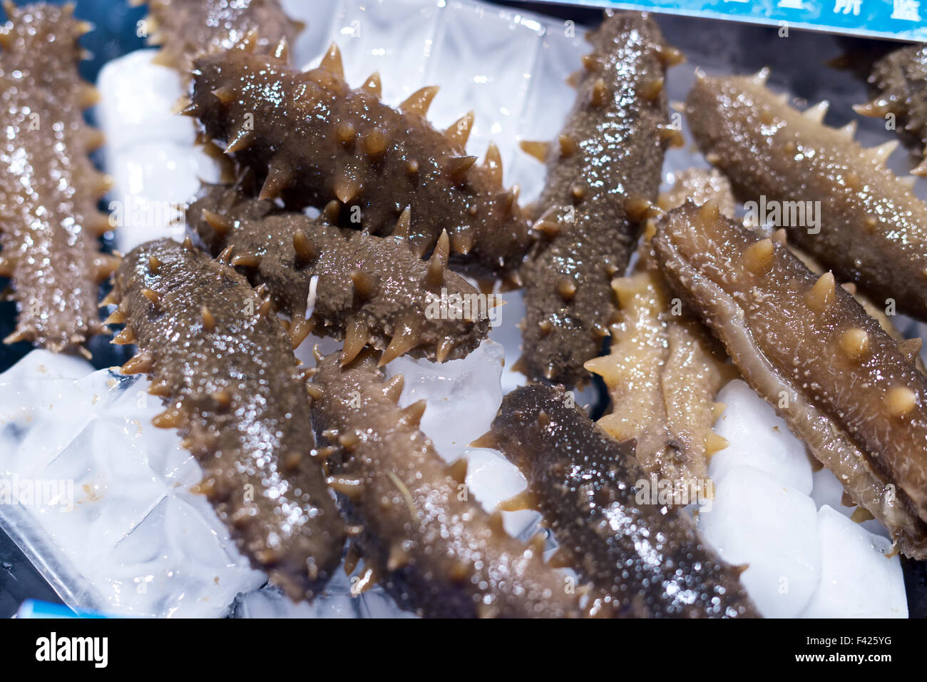 Raw Sea Cucumber on ice in fresh Chinese restaurant Stock Photo - Alamy