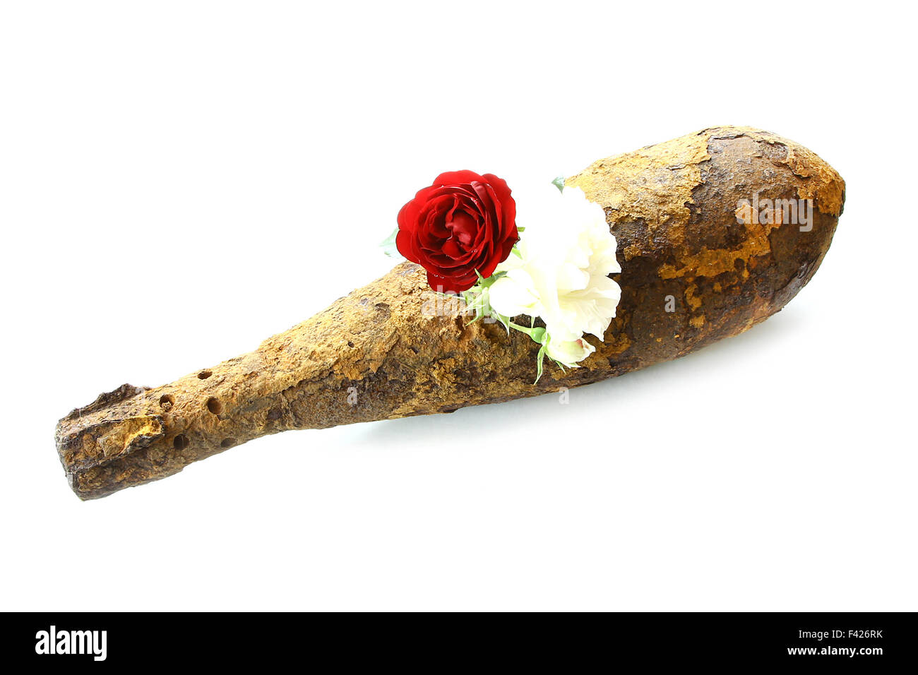 vintage rusted aviation bomb shot projectile shell world war II exploded with flowers in hole on white Stock Photo