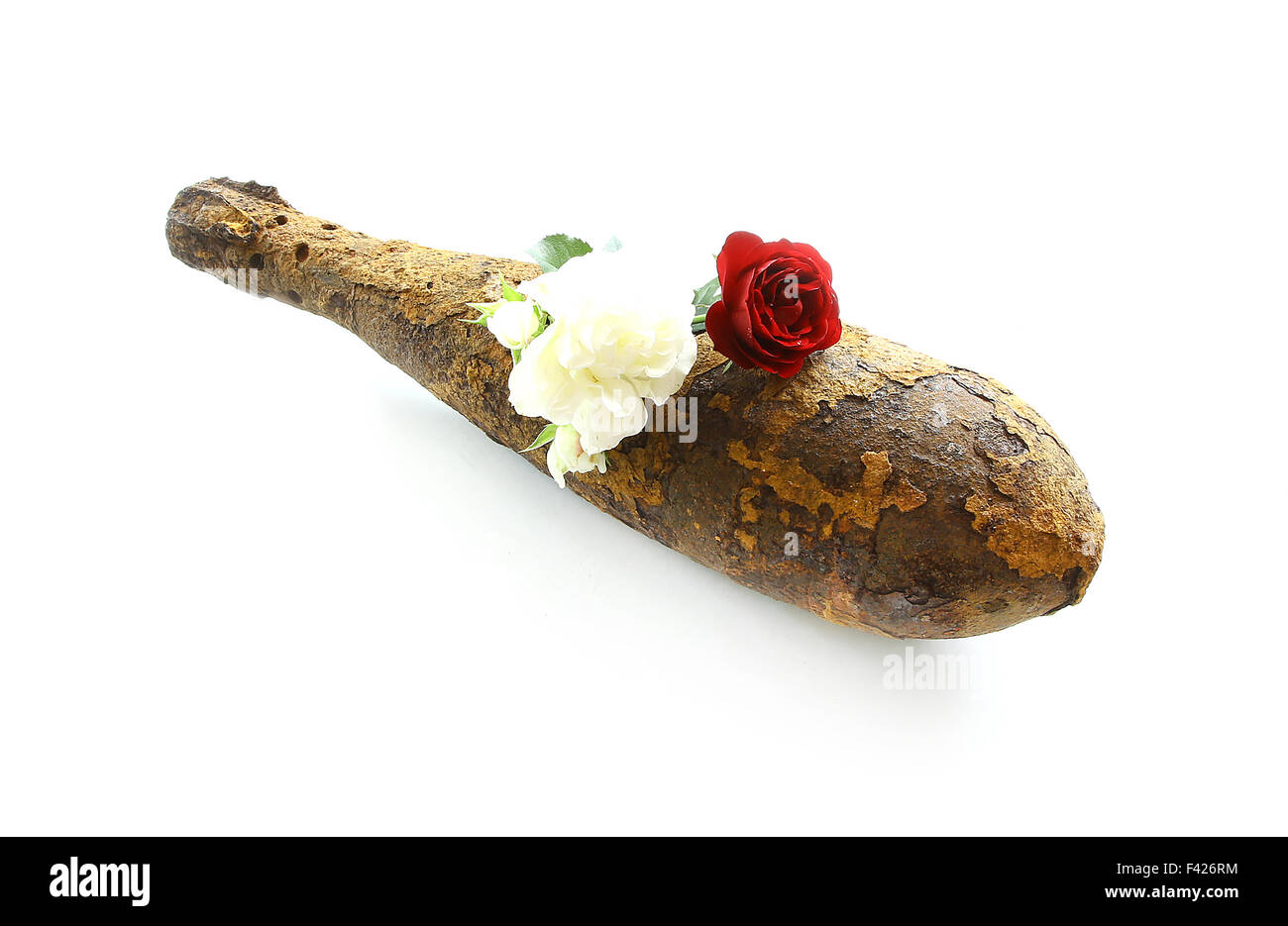 vintage rusted aviation bomb shot projectile shell world war II exploded with flowers in hole on white Stock Photo