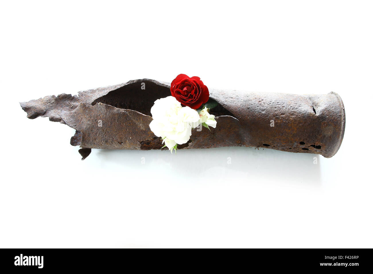 vintage rusted bomb shot projectile shell world war II exploded with flowers in hole on white Stock Photo