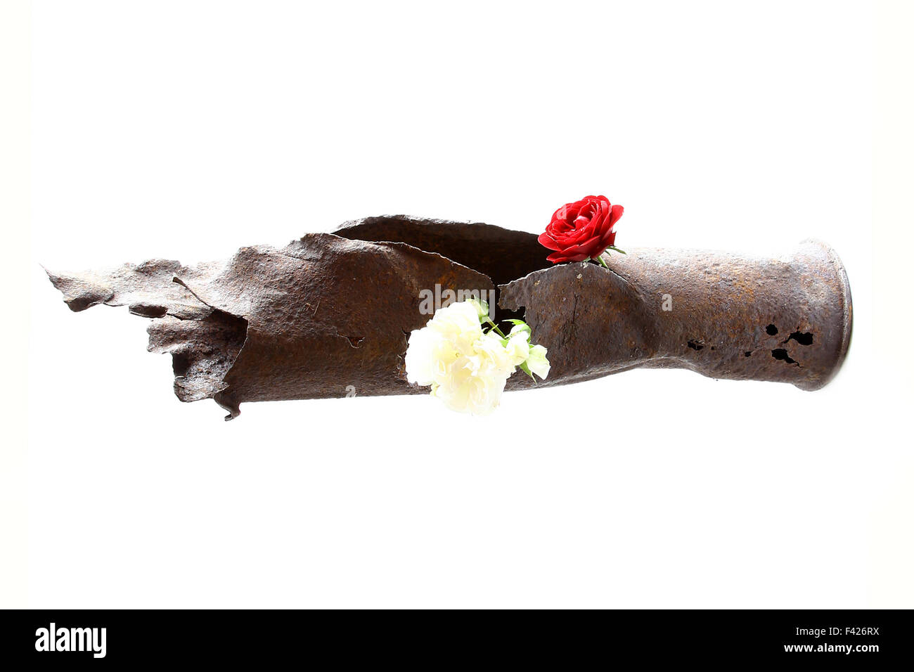 vintage rusted bomb shot projectile shell world war II exploded with fowers in hole on white Stock Photo