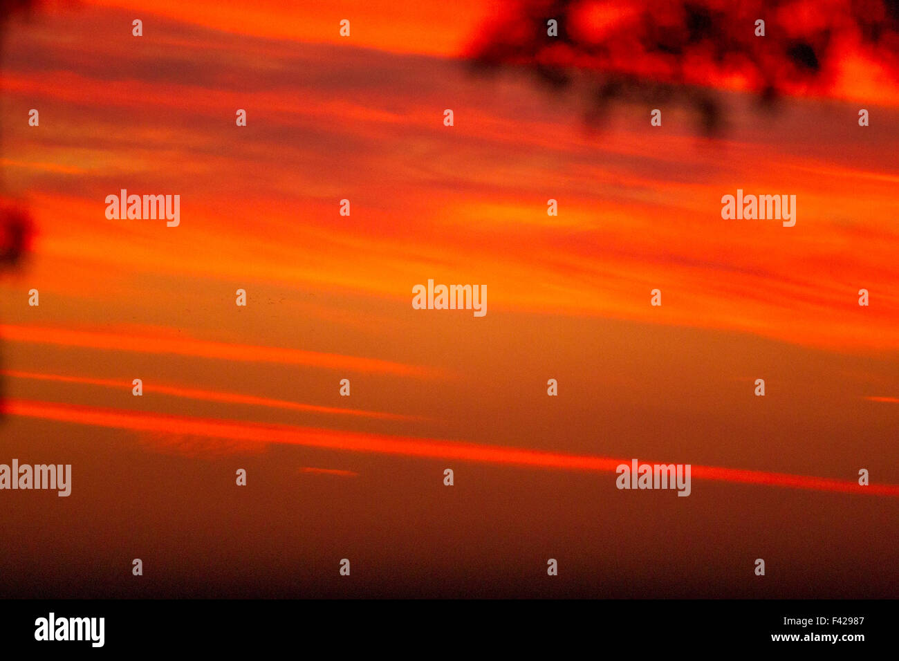 a orange sunrise sky Stock Photo