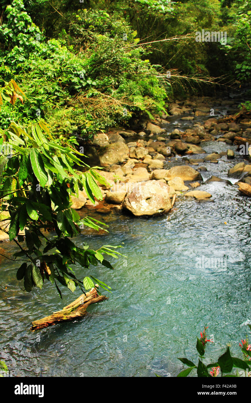 Seven Sisters waterfall hike in the Grand Etang National Park in St. George's on the caribbean Island of Grenada Stock Photo