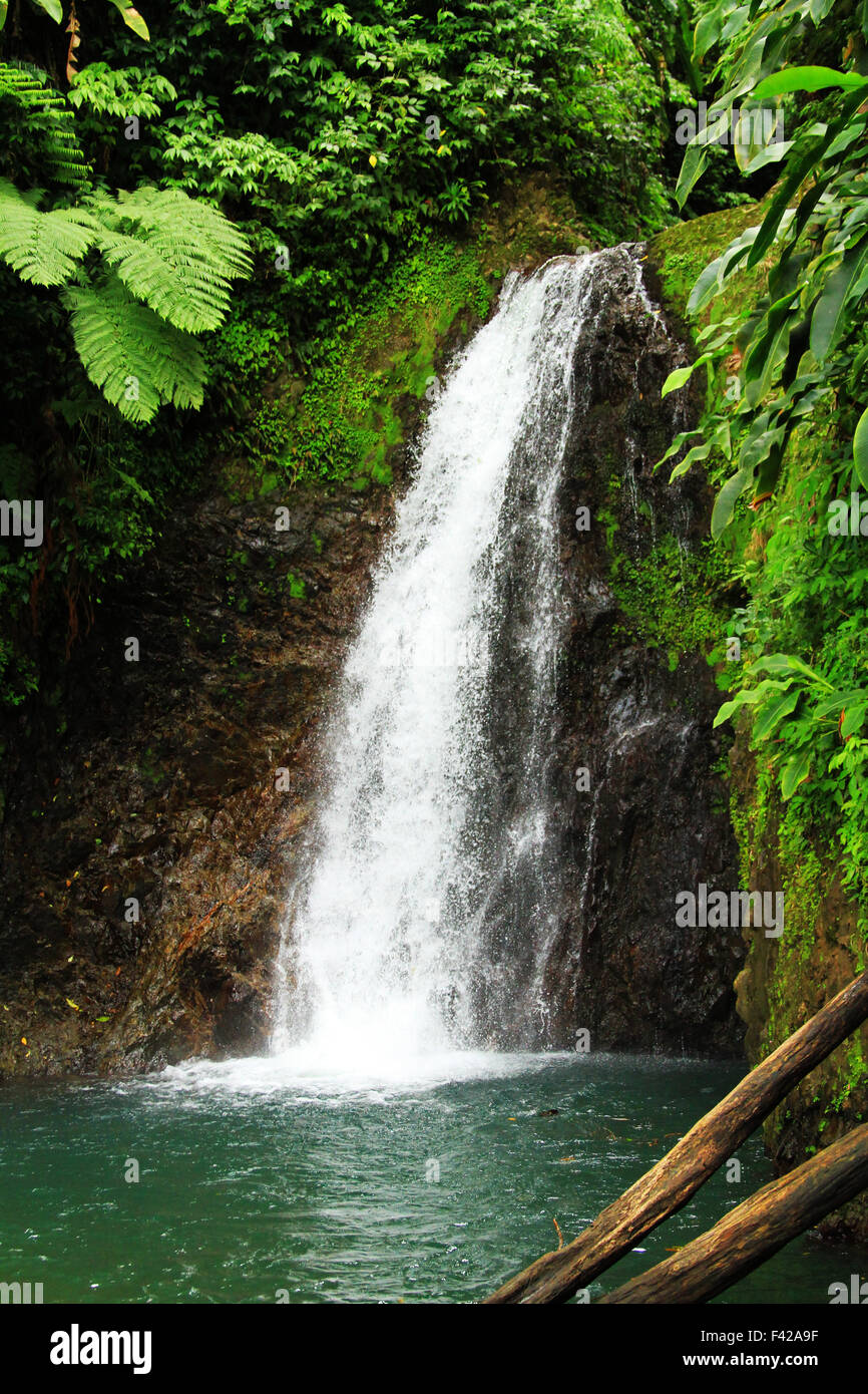 Seven Sisters waterfall in the Grand Etang National Park in St. George ...