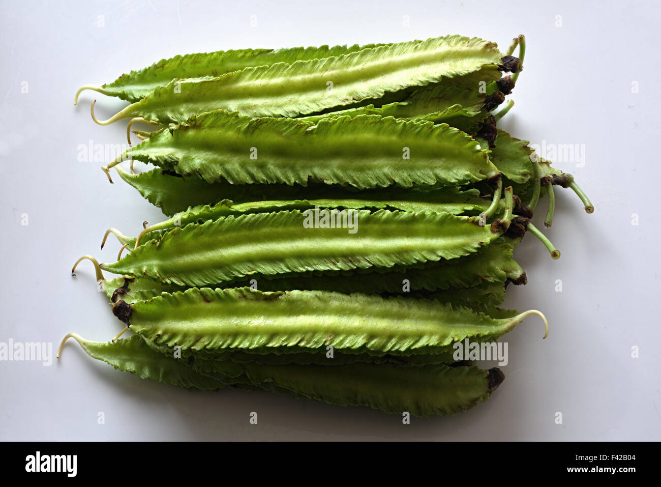 Goa Beans Stock Photo