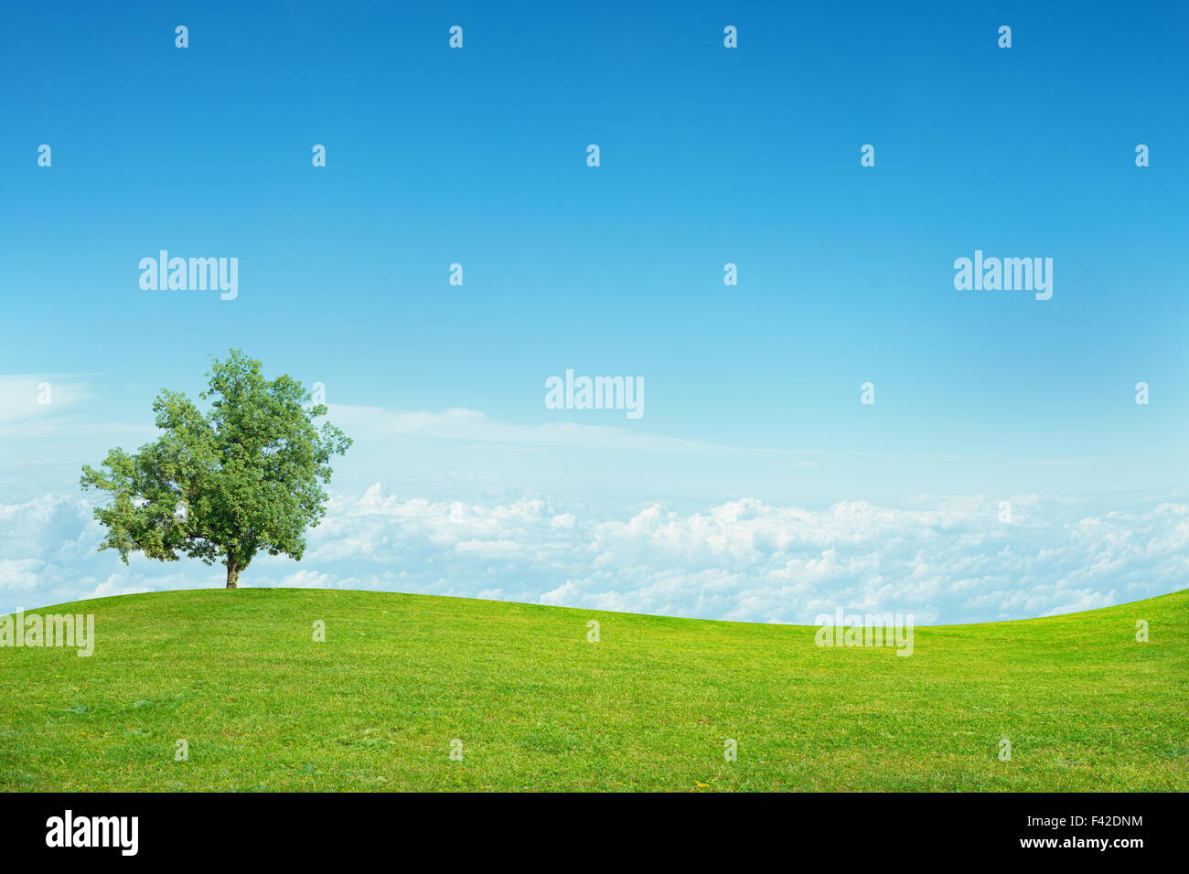 Landscape with blue sky Stock Photo - Alamy
