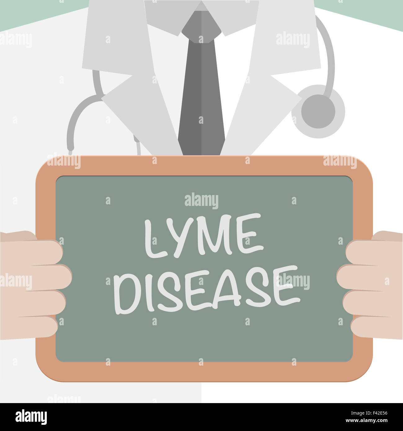 Medical Board Lyme Disease Stock Photo