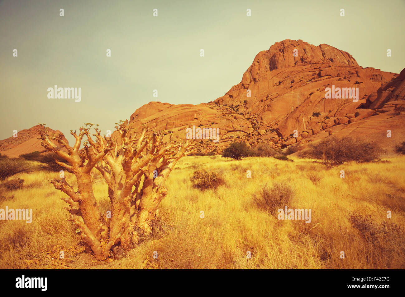 African savannah landscapes hi-res stock photography and images - Alamy
