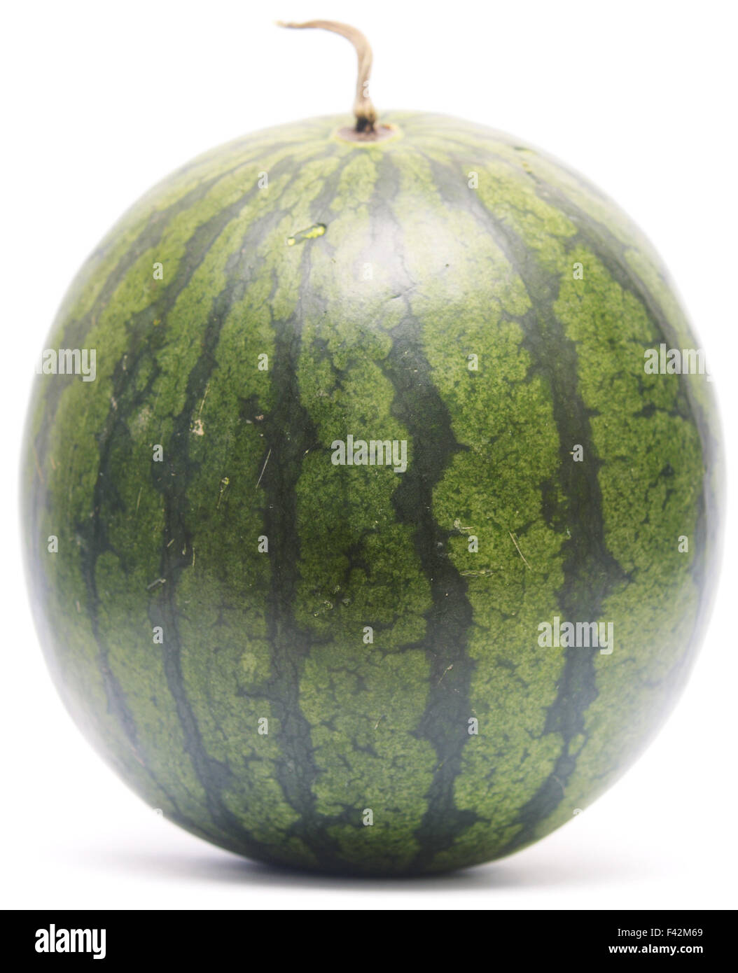 whole watermelon Stock Photo