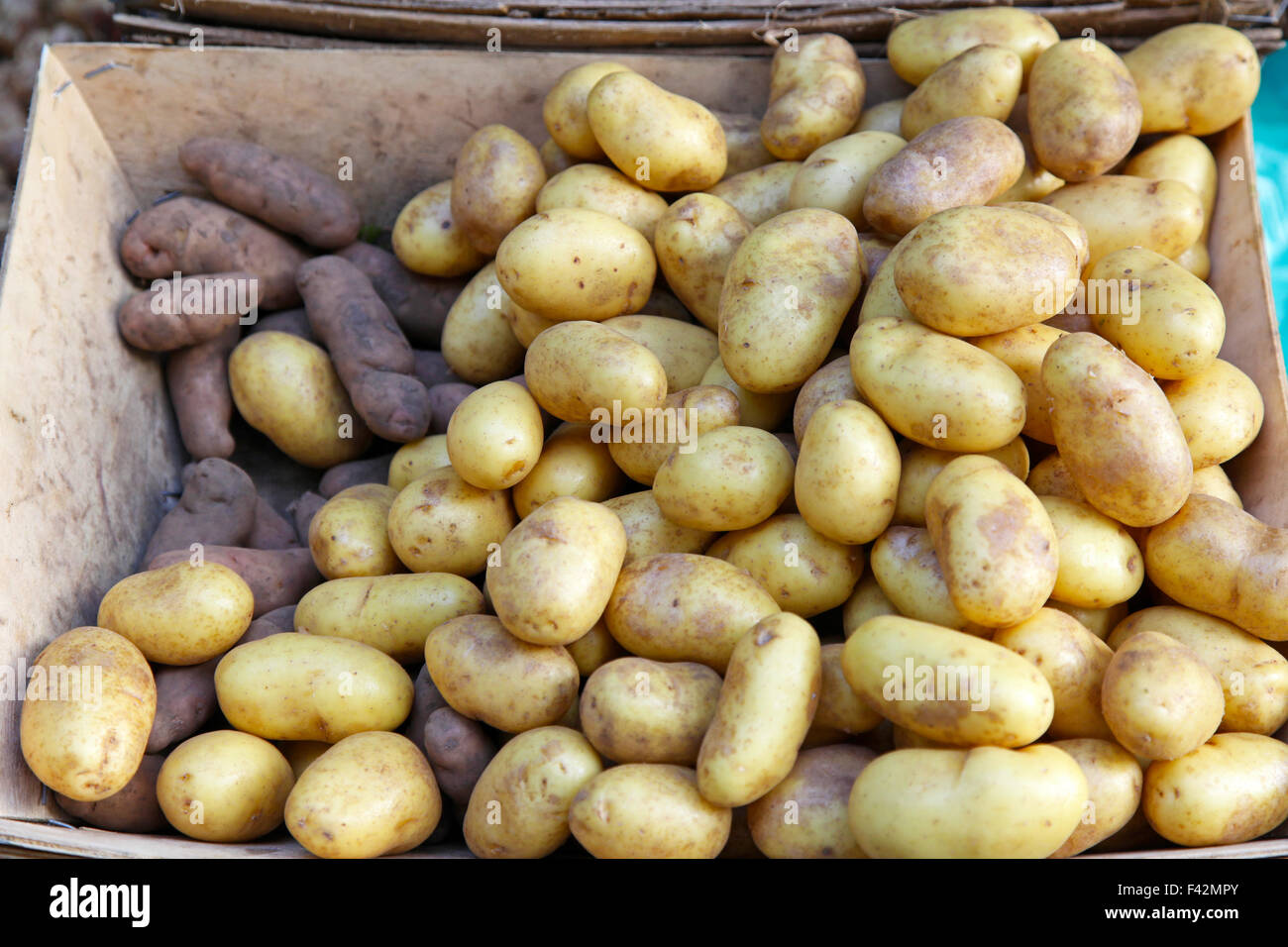Download Bunch Of New Yellow Potatoes In Crate Stock Photo Alamy PSD Mockup Templates