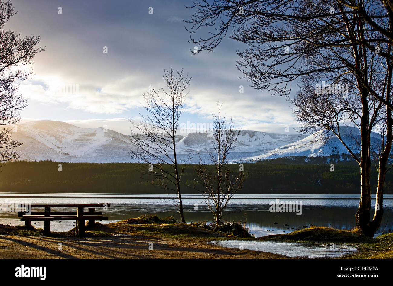 View from a picnic area by Loch Morlich to snow-covered Cairngorm and the Northern Corries, winter, early morning, Scotland UK Stock Photo