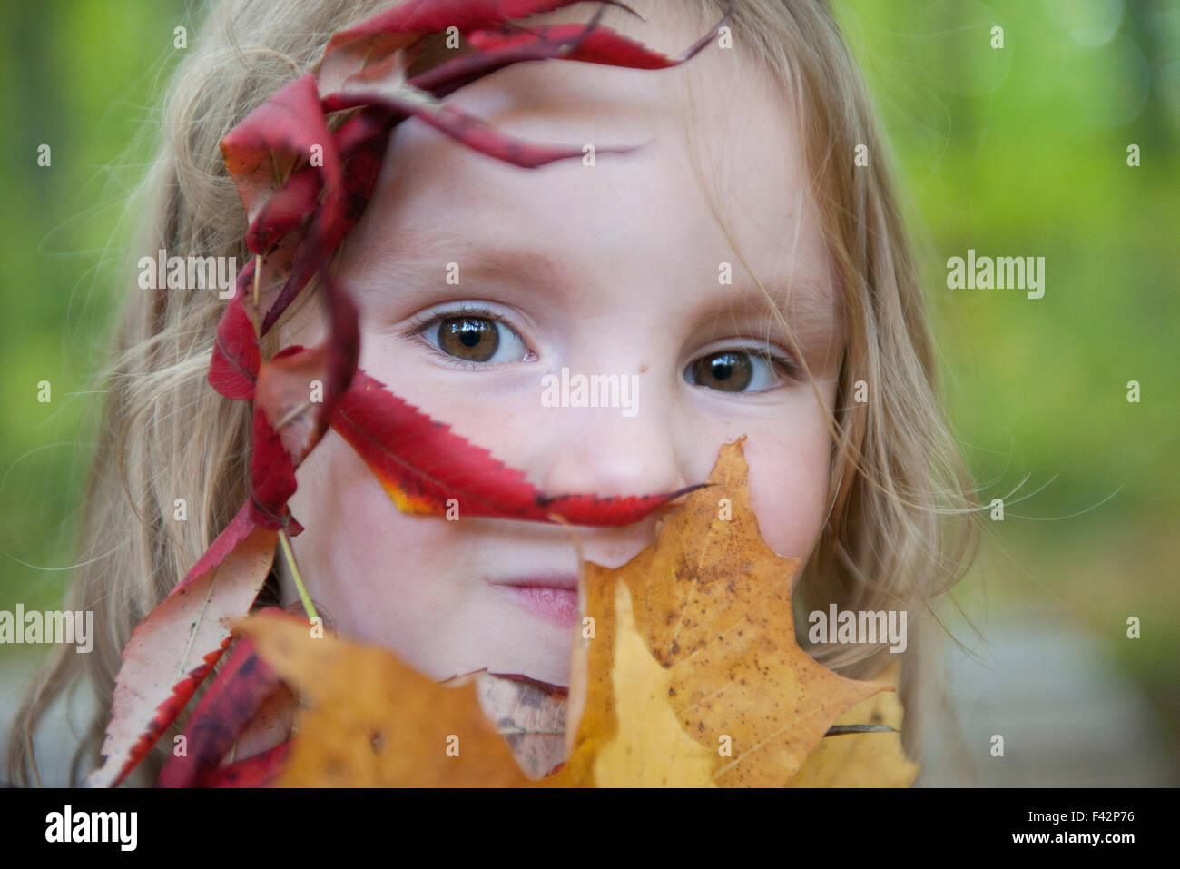 Girl holding autumn leaves in front of her face, portrait Stock Photo ...