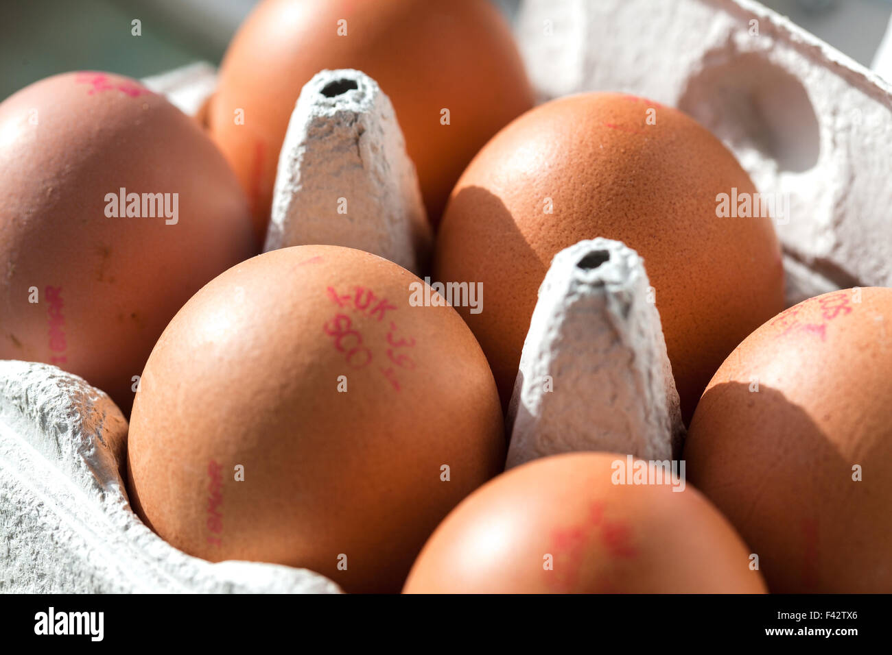 half dozen eggs from supermarket UK Stock Photo Alamy