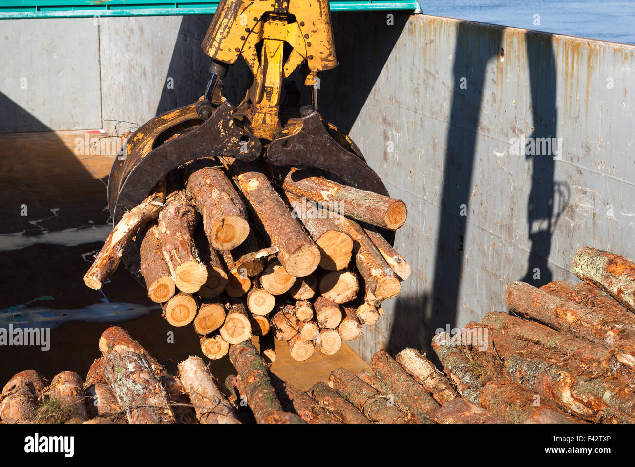 Loading fresh timber into ships cargo hold. Montrose Port UK Stock