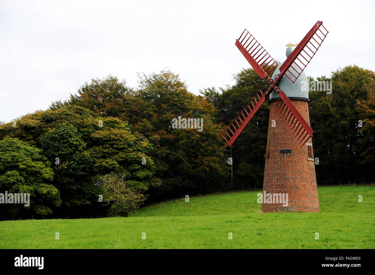 Haigh windmill stands among the Autumn leaves, Wigan, Lancashire. Picture by Paul Heyes, Wednesday October 14, 2015. Stock Photo