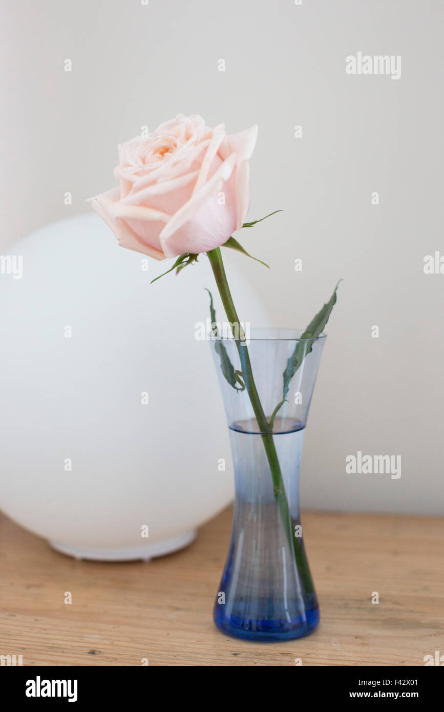Rose vases hires stock photography and images Alamy