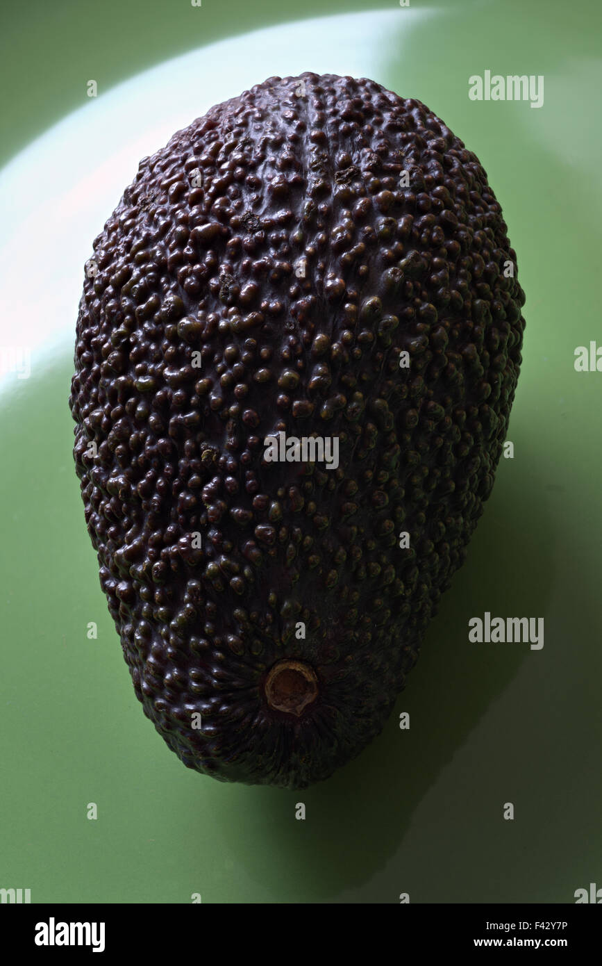 Avocado Pear (Persea americana) Stock Photo