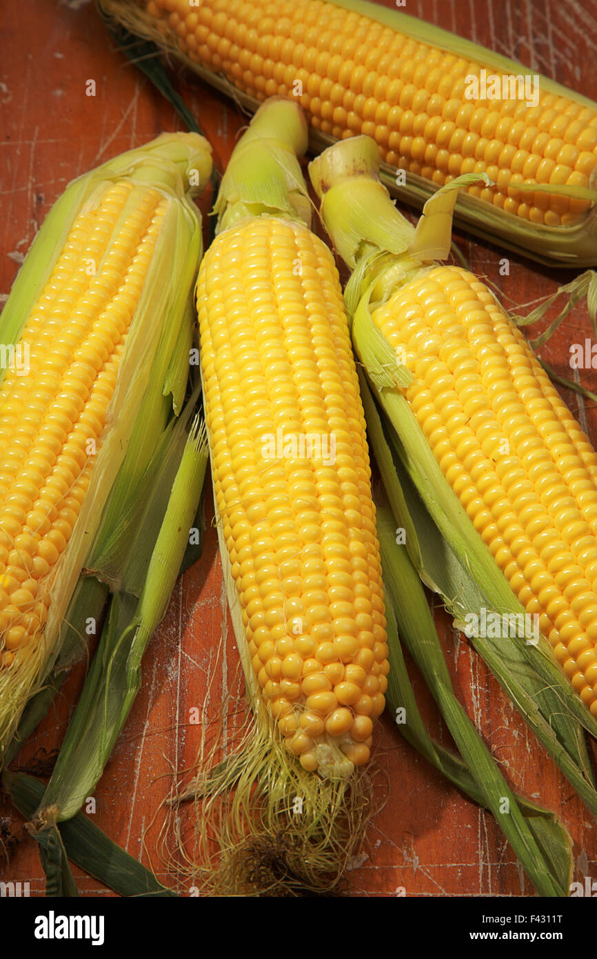 ear of corn Stock Photo Alamy