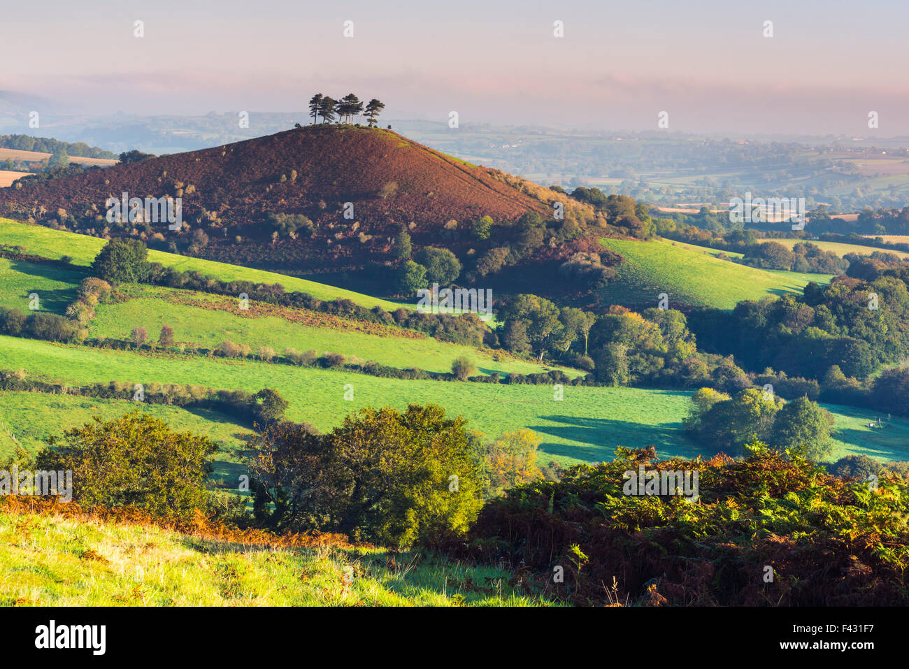 Colmers Hill, Bridport, Dorset, UK. 14th October 2015. UK Weather