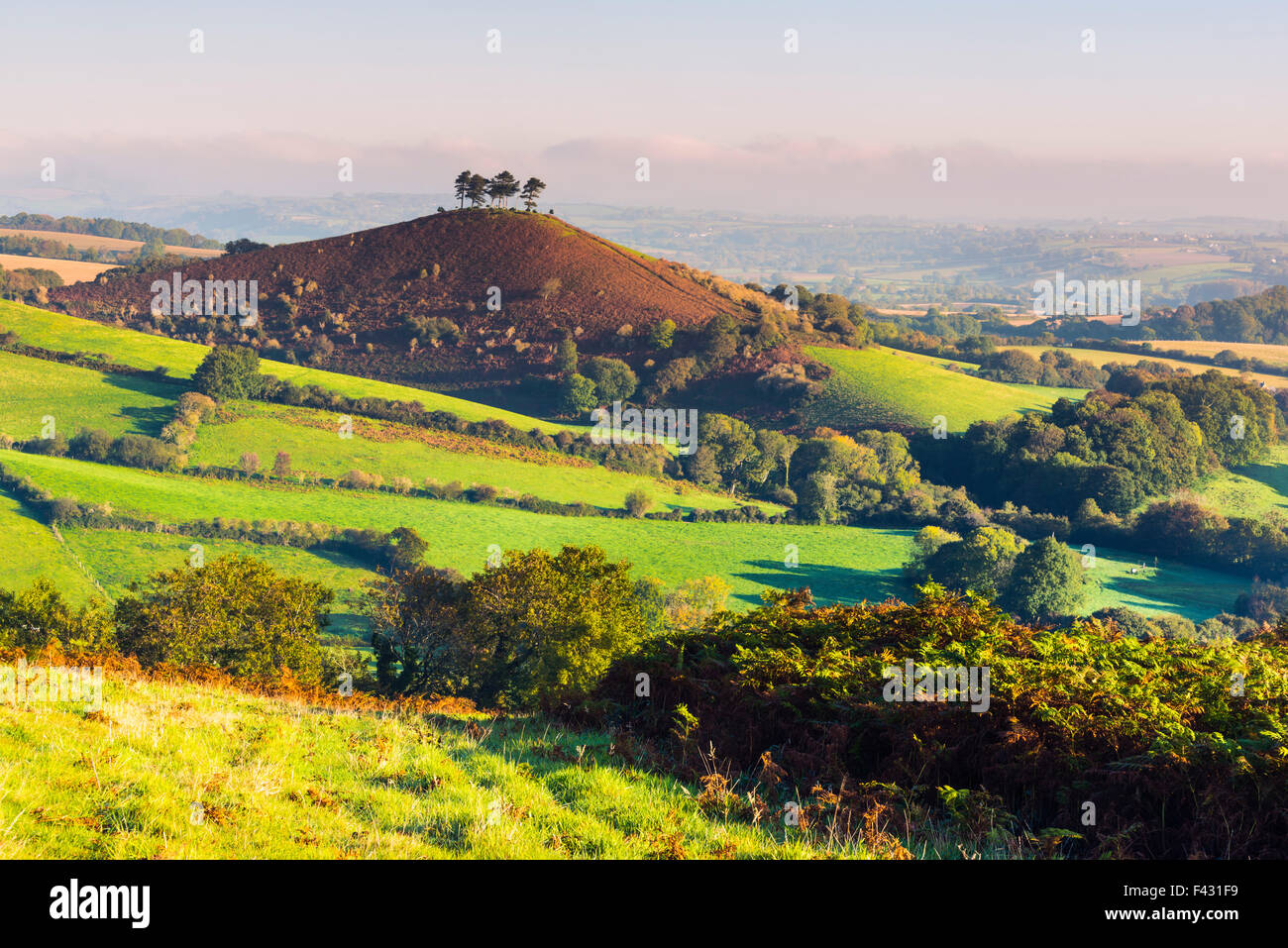 Colmers Hill, Bridport, Dorset, UK. 14th October 2015. UK Weather
