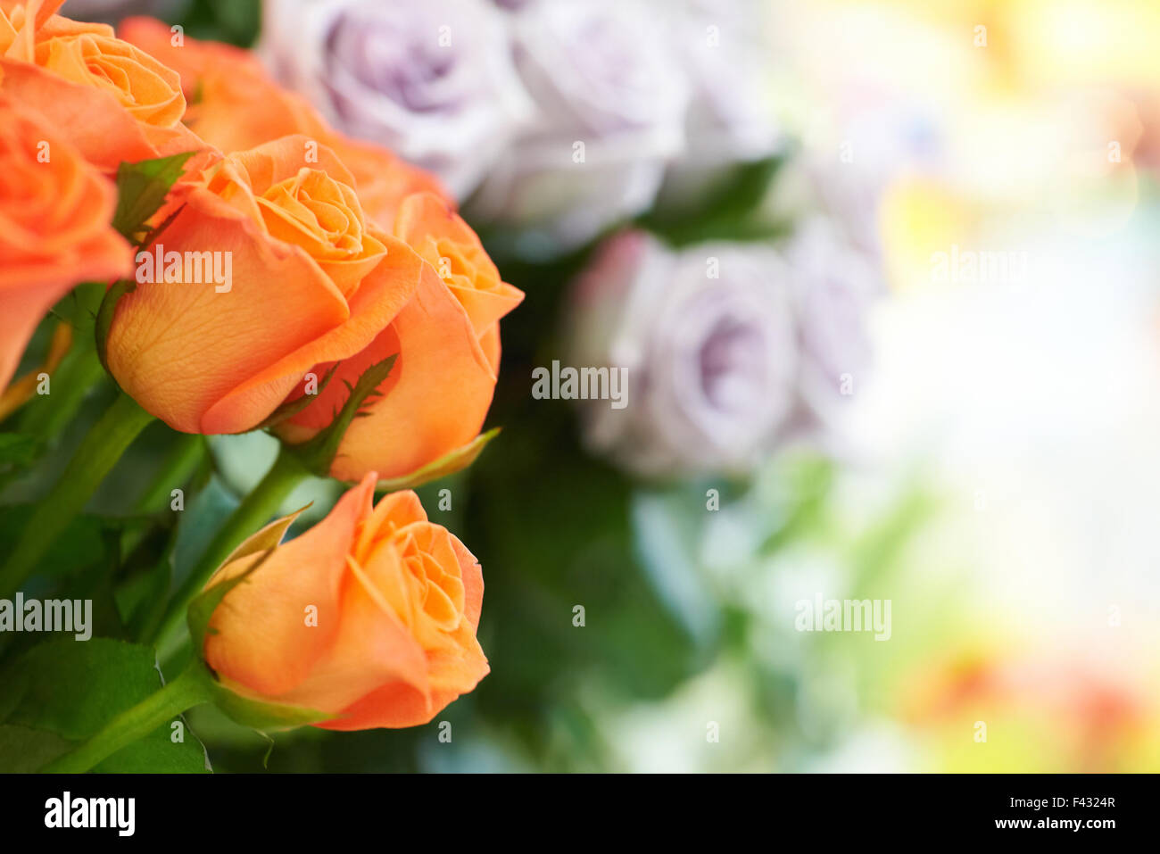 Bunch of beautiful roses Stock Photo Alamy
