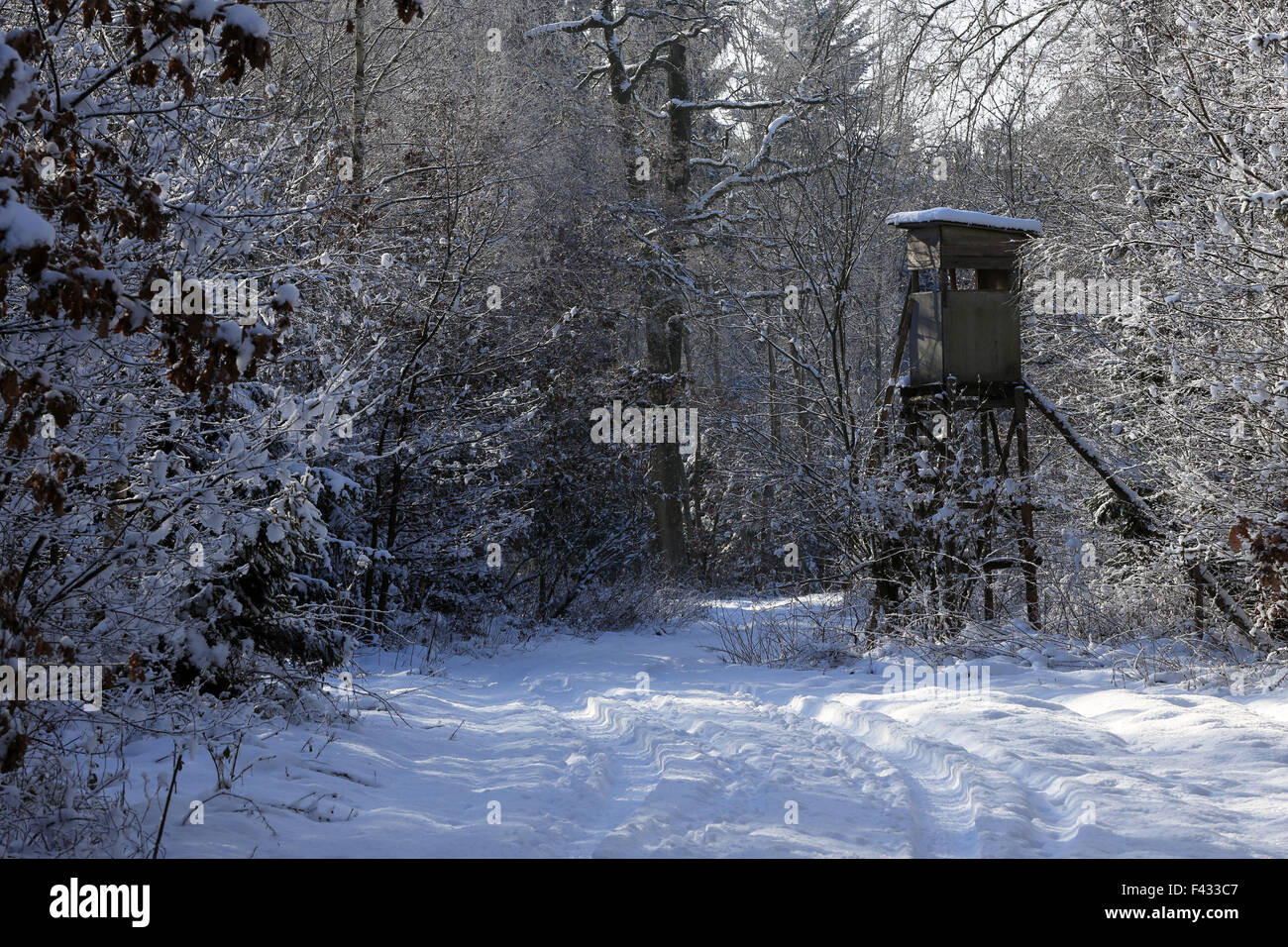 Deer stand in Bavarian winter forest Stock Photo