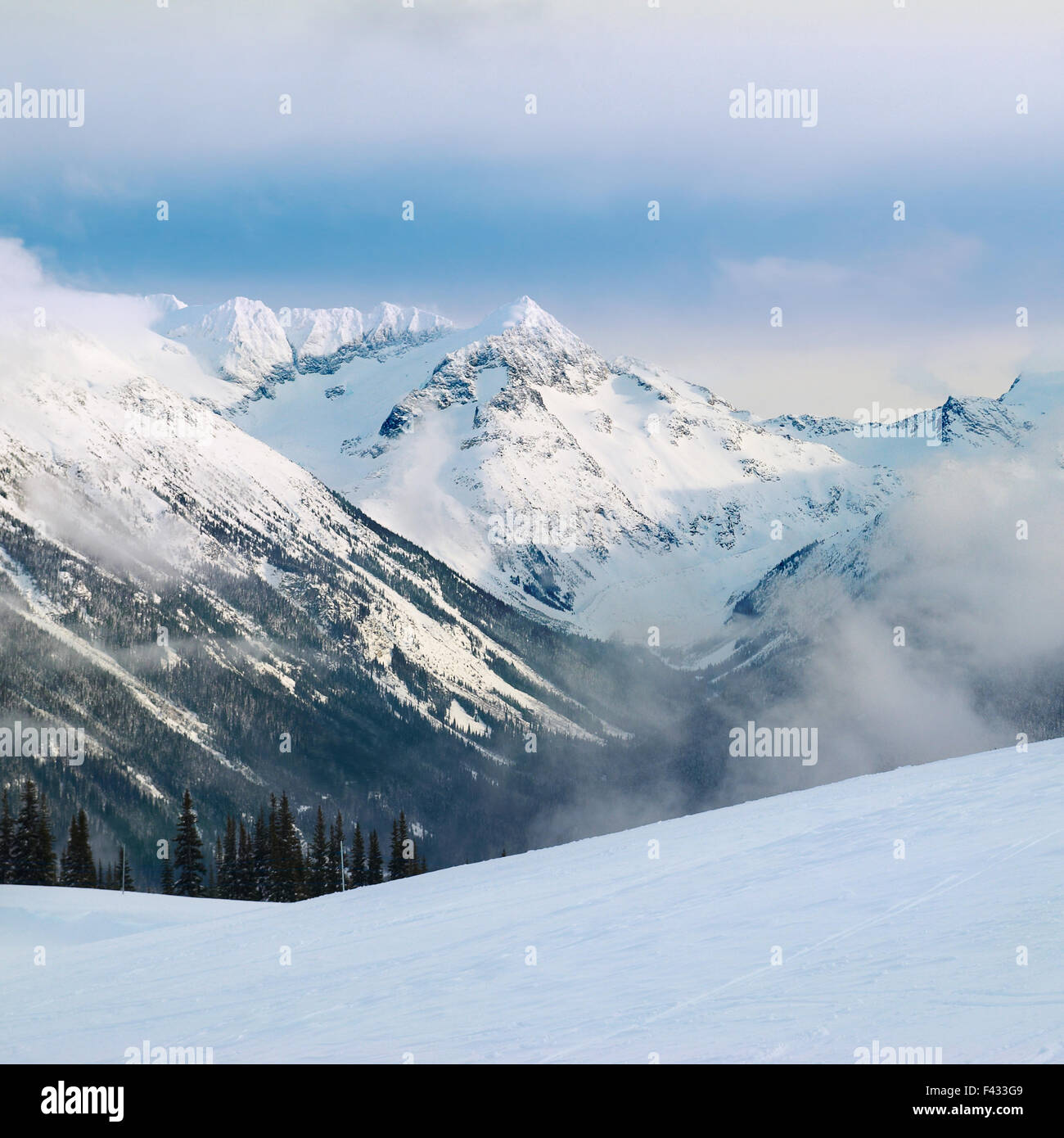Winter fir trees in mountains Stock Photo - Alamy