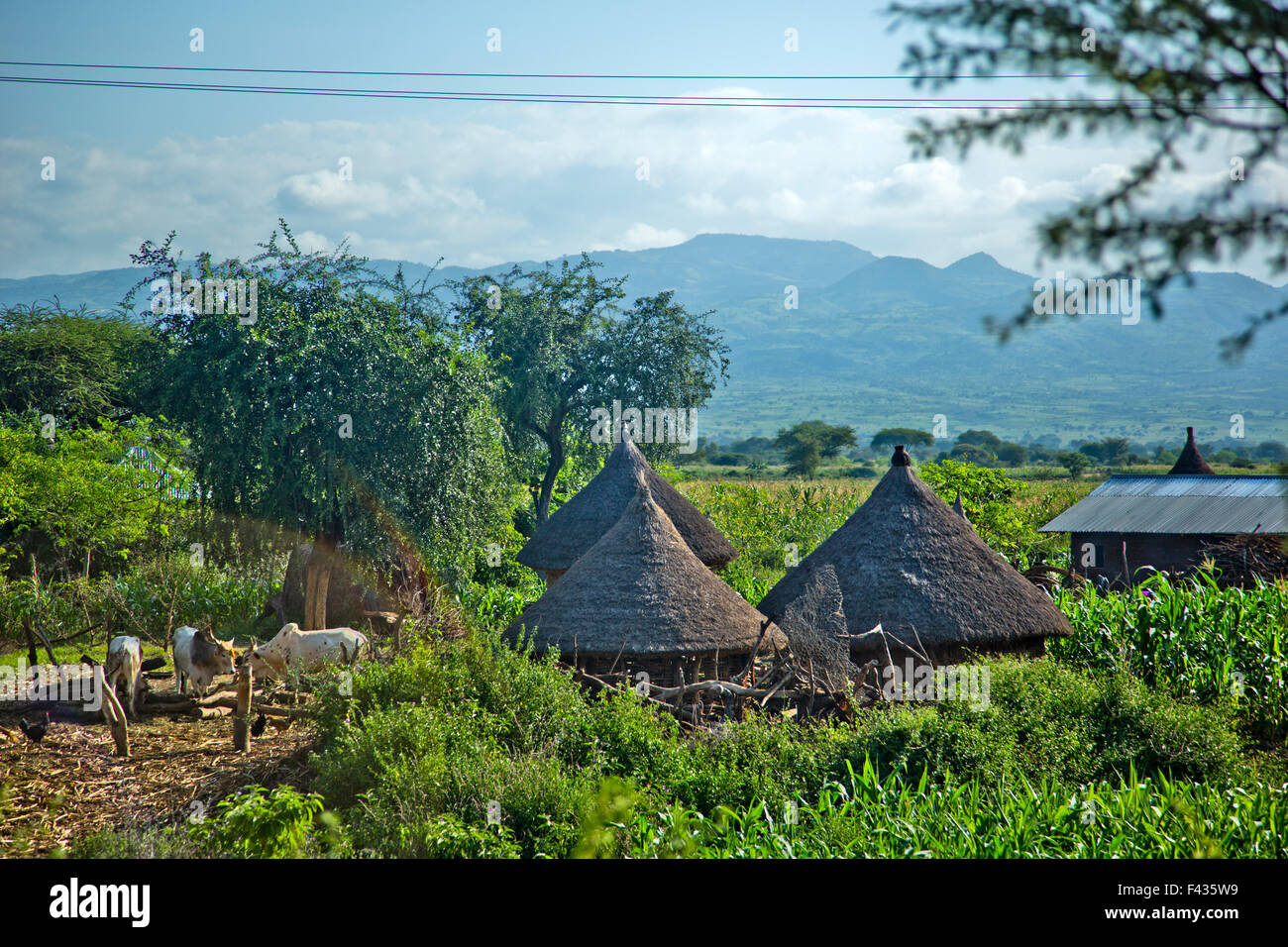 Straw huts in an Ethiopian village Stock Photo