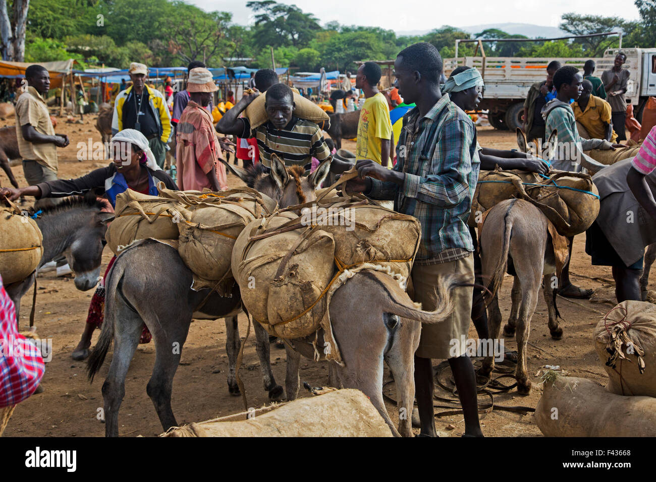Ethiopian Market scene Stock Photo Alamy