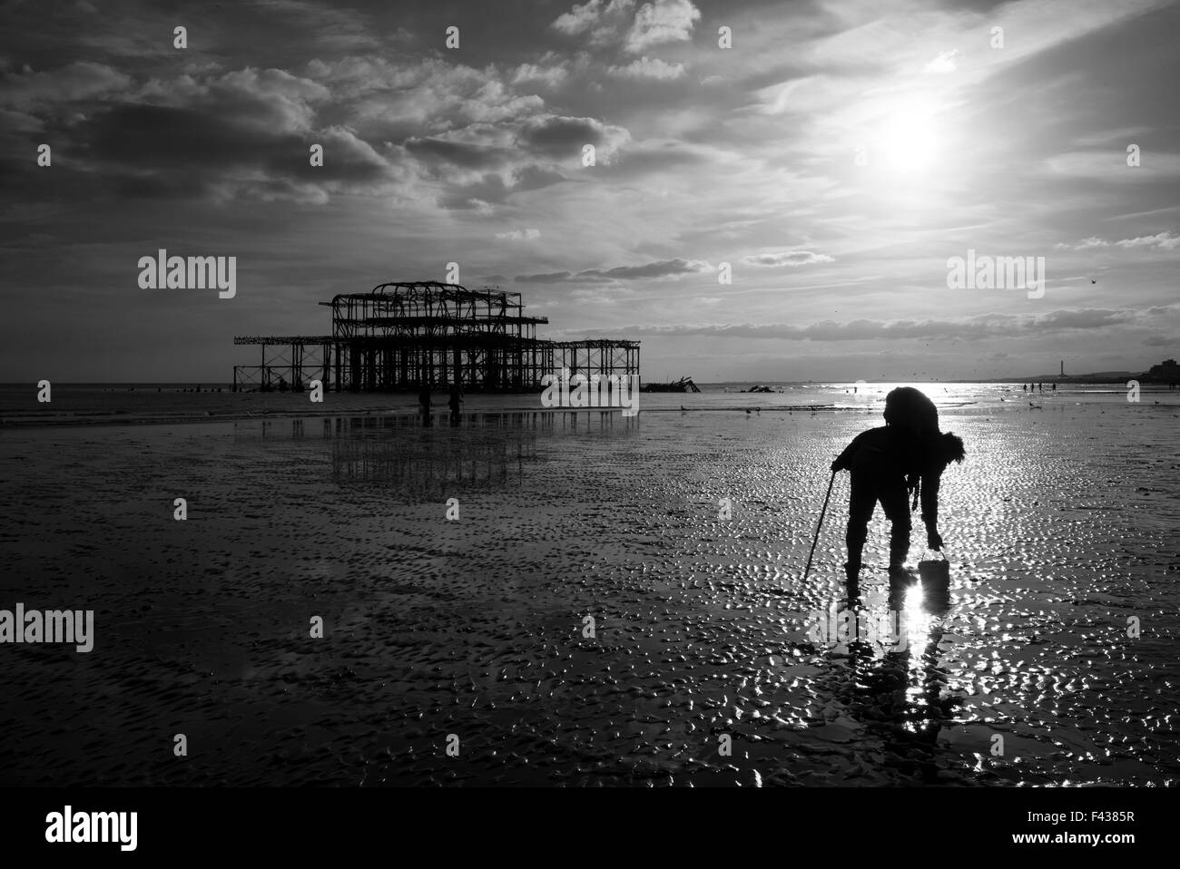 Fisherman collecting bait, low tide, West Pier, Brighton, UK, black and white Stock Photo