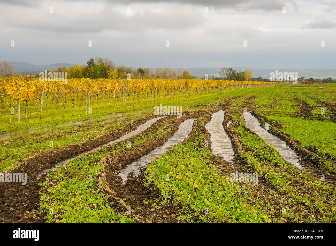 Field damage the field of tractor Stock Photo