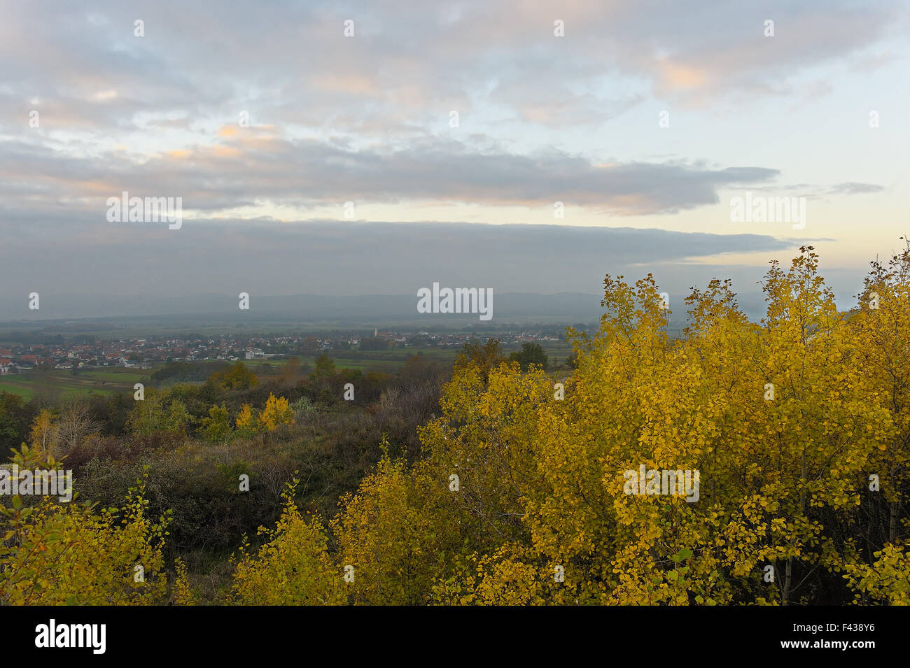 Autumn landscape Burgenland in Oslip Stock Photo