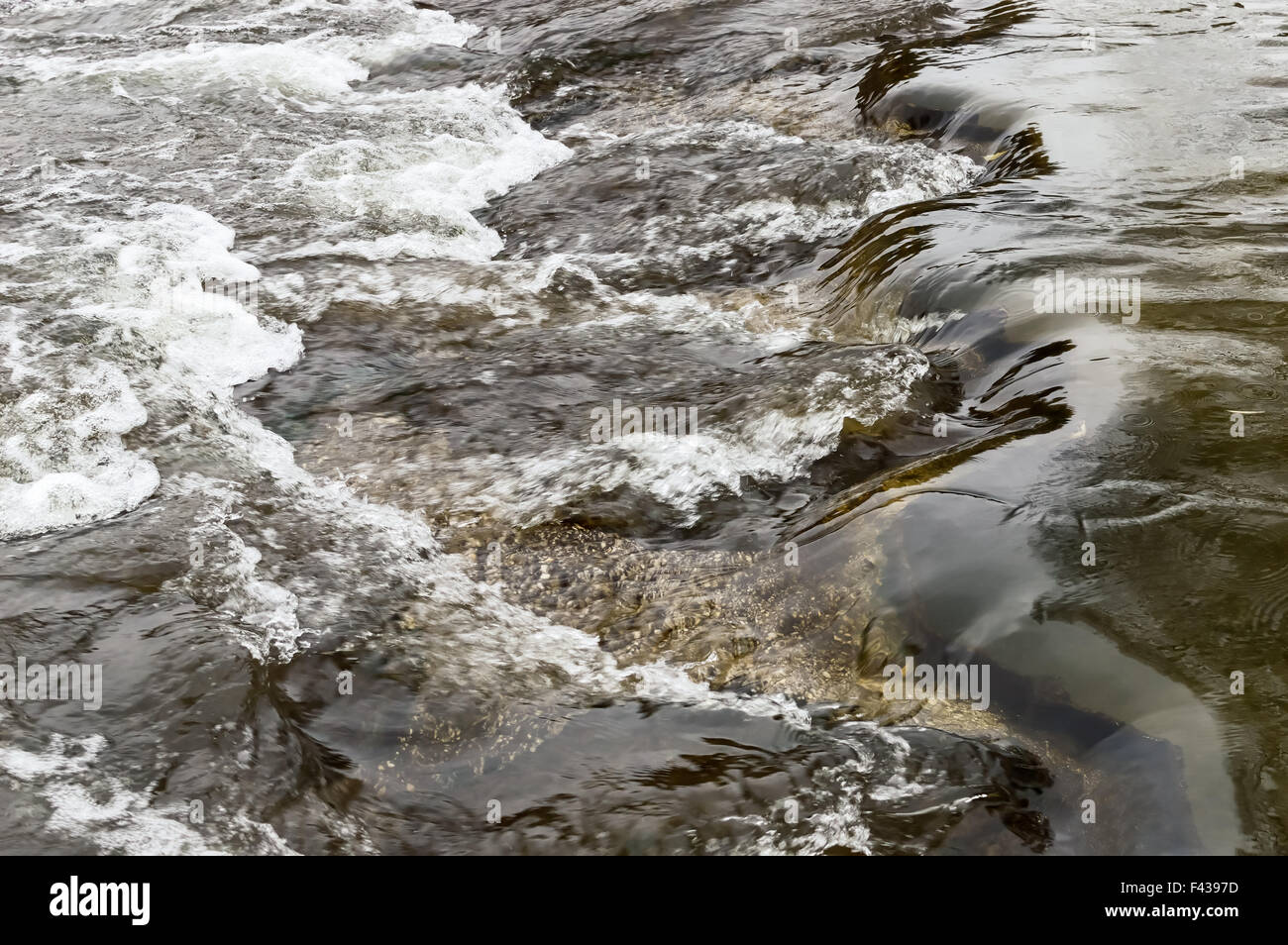 Rapids on a stream Stock Photo