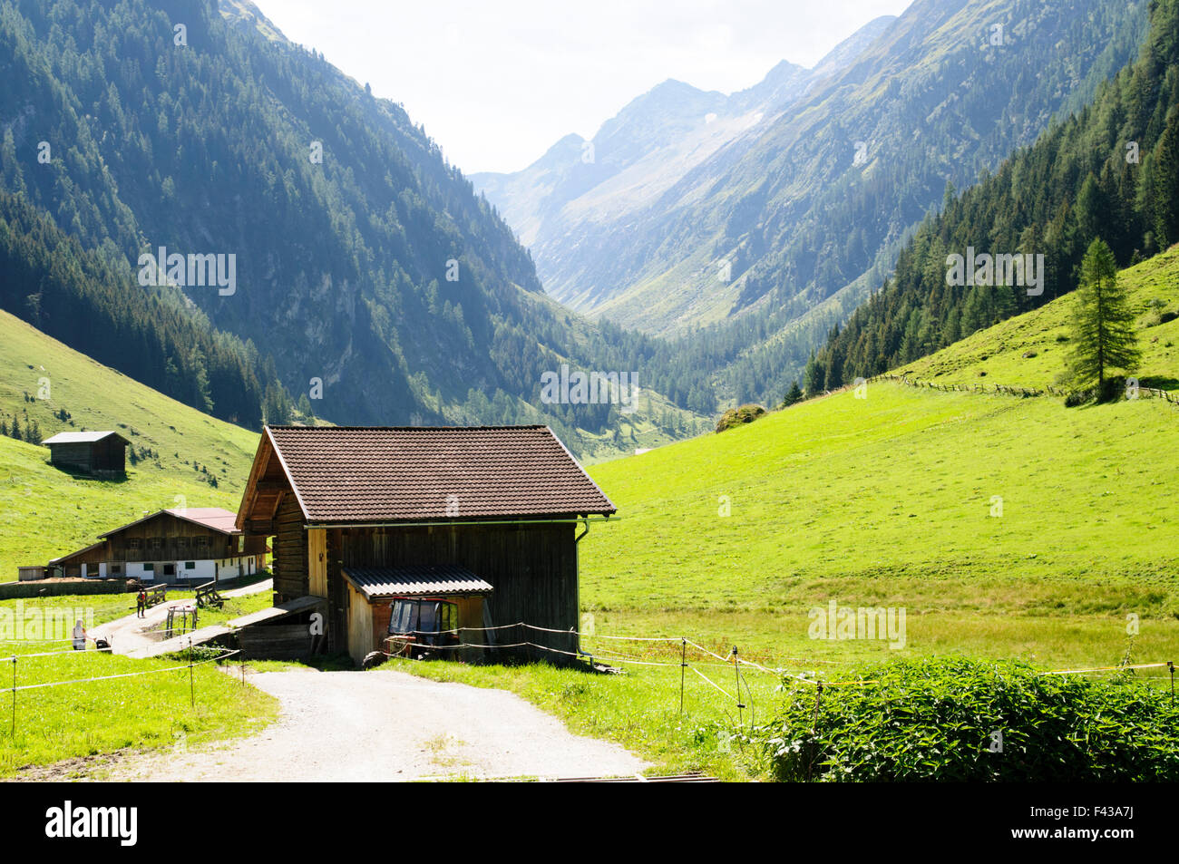 Winnertal farm in Zillertal, Tyrol, Austria Stock Photo