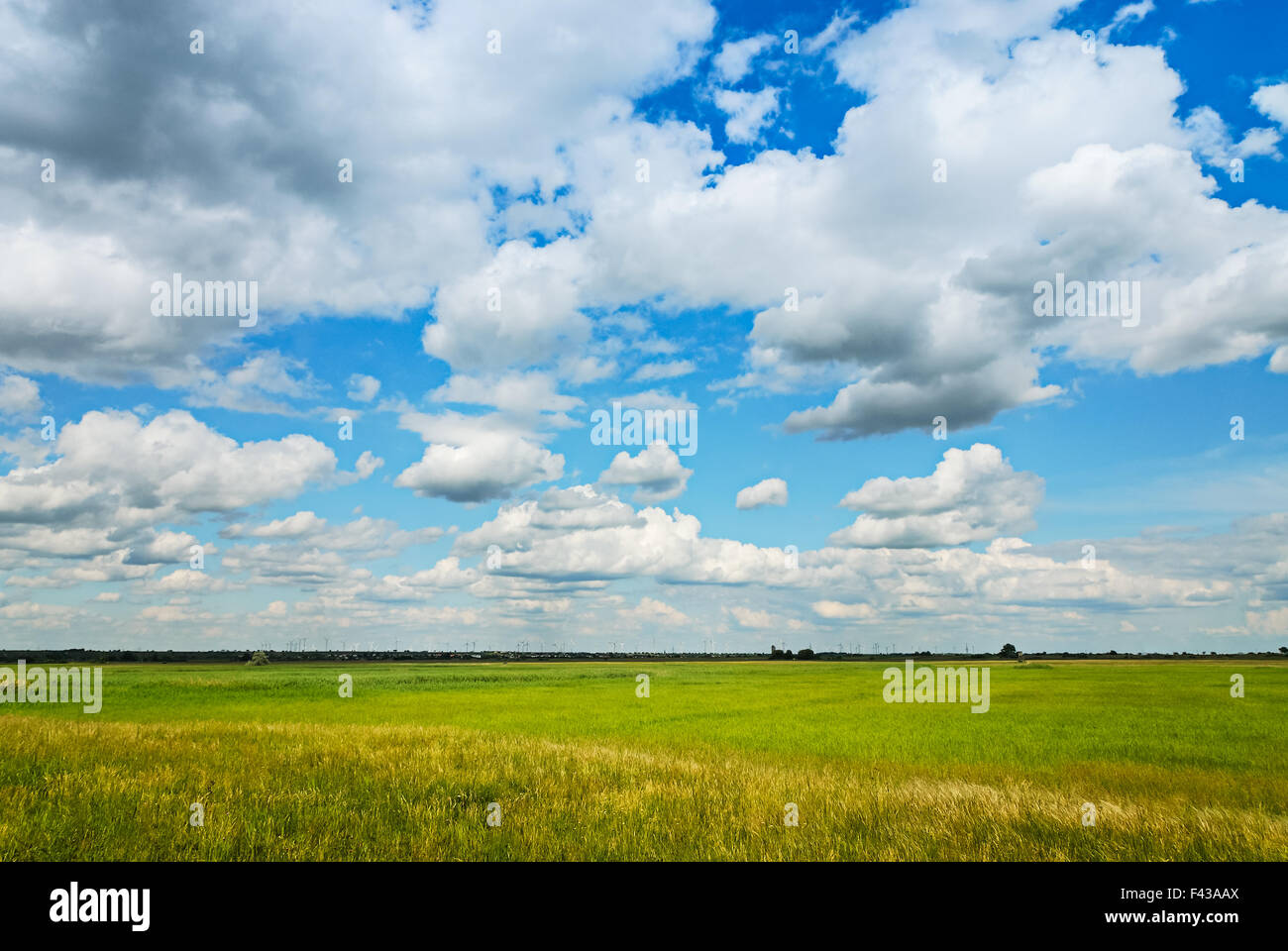 Grassland in spring in Burgenland Stock Photo
