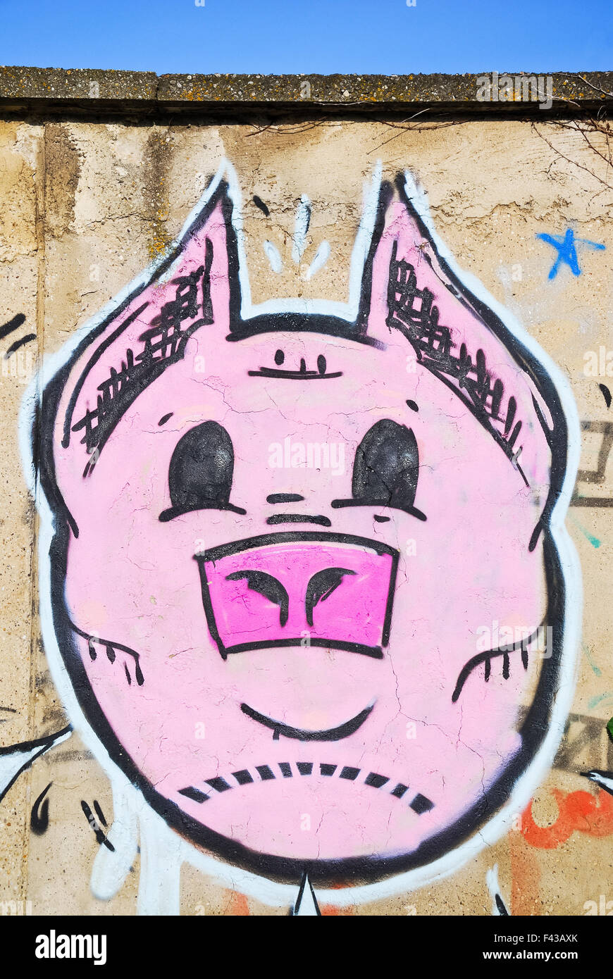 Graffiti pig's head on the wall Stock Photo