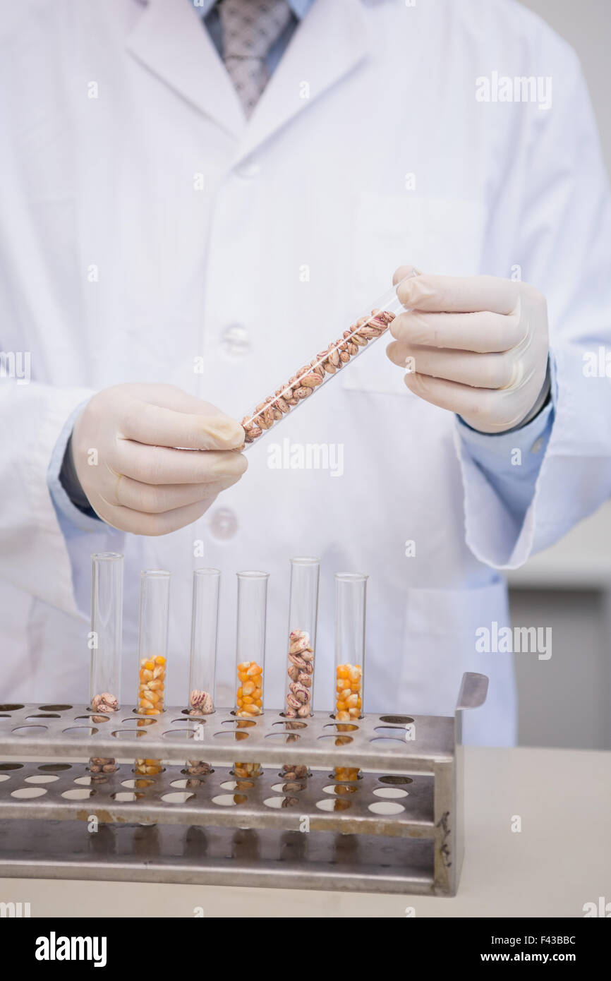 Kernel holding hires stock photography and images Alamy