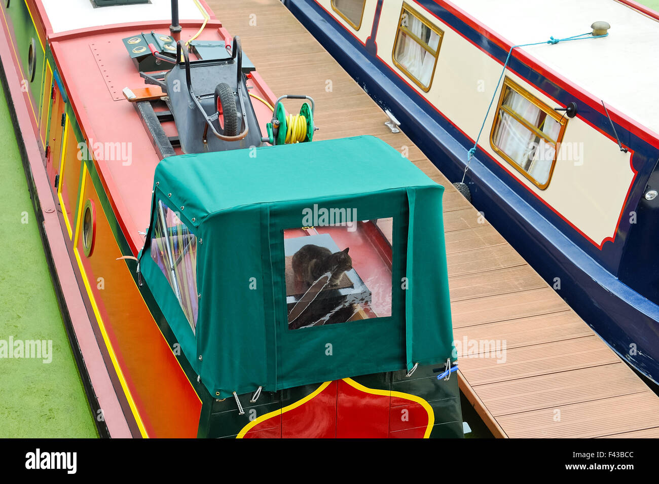 Cat on a houseboat Stock Photo