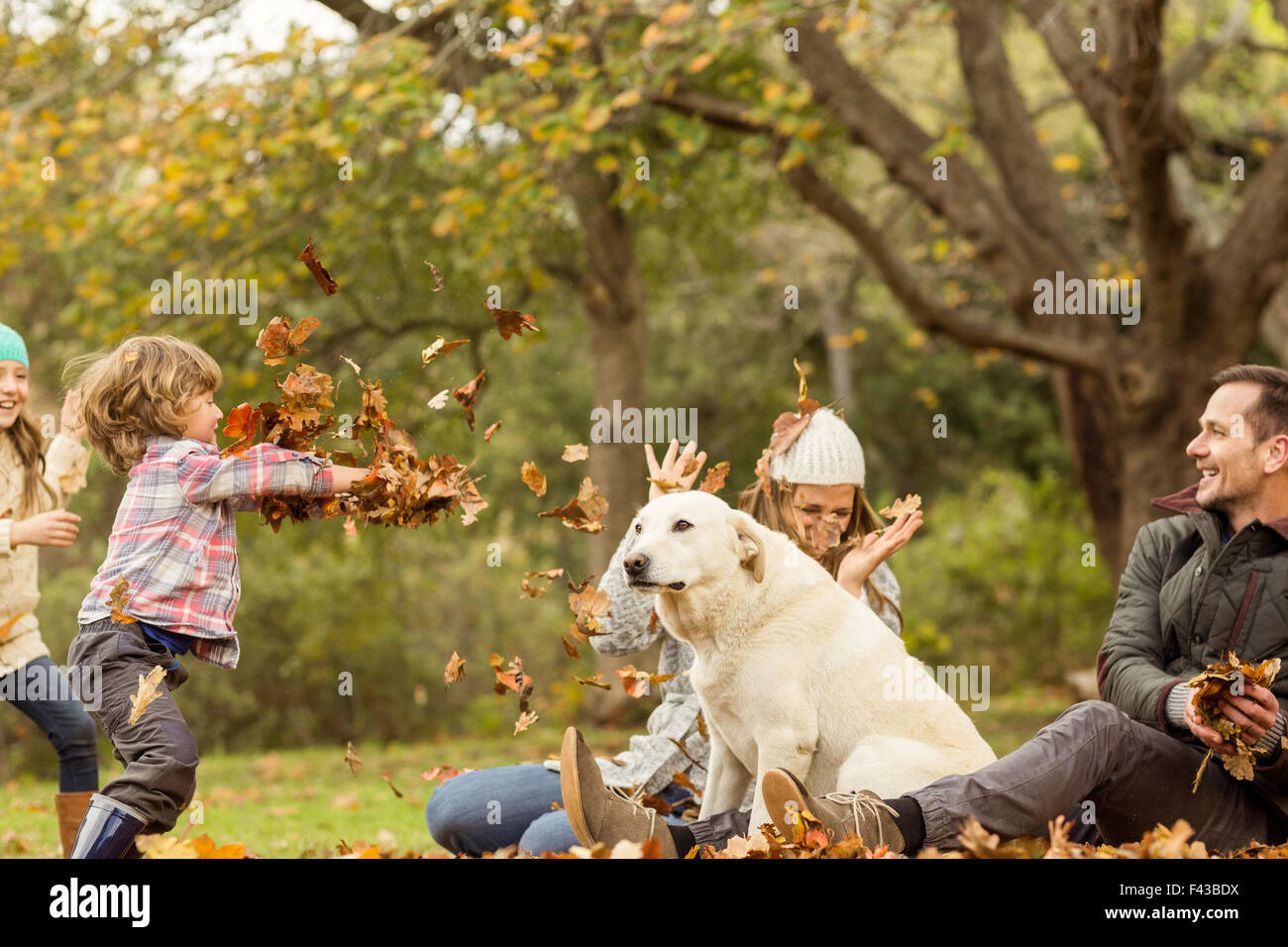 Young family with a dog in leaves Stock Photo