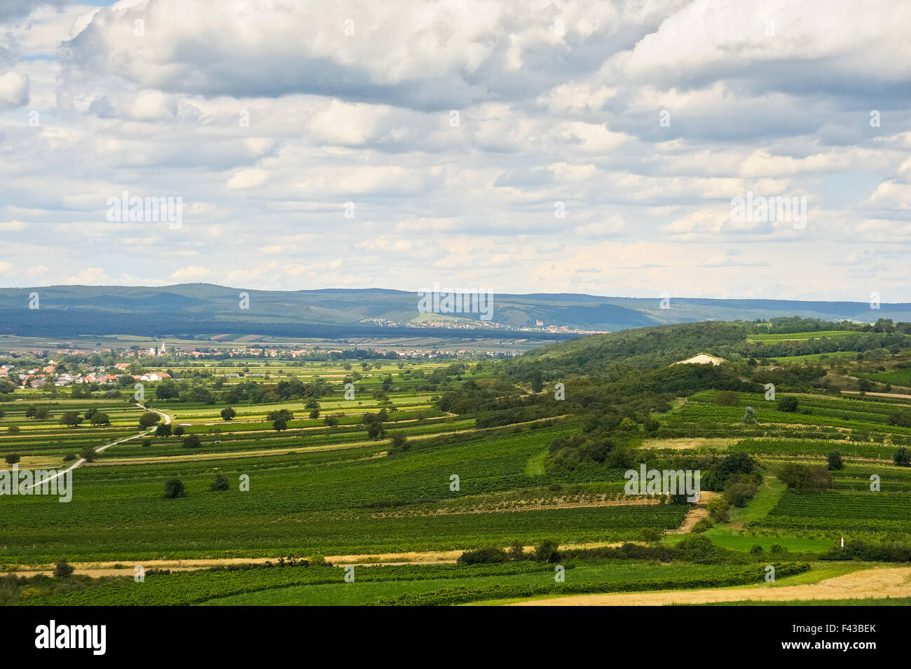 Community Oslip in Burgenland and Rust Hills Stock Photo