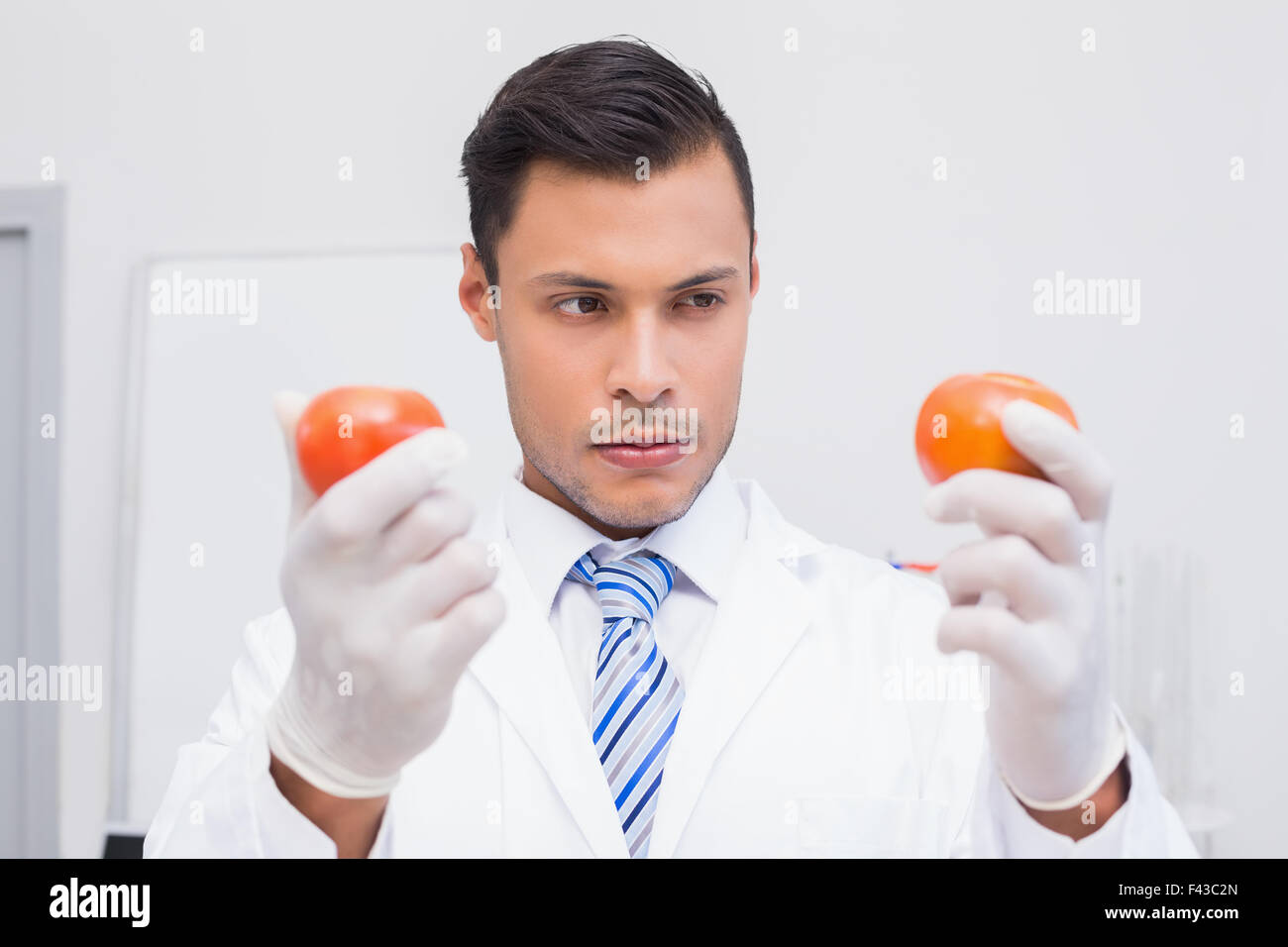 Perplex scientist holding two tomatoes Stock Photo
