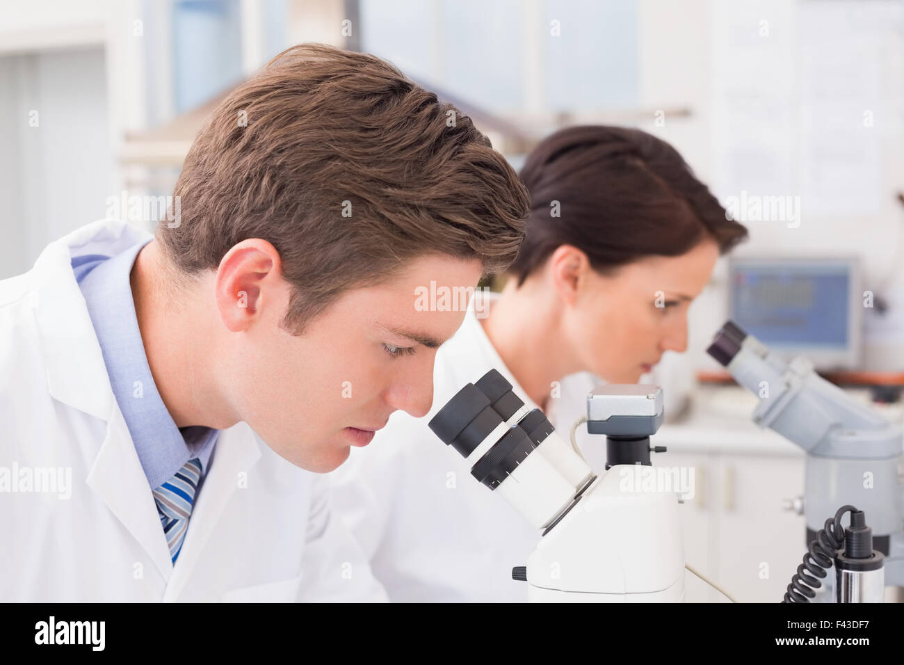 Scientists looking attentively in microscopes Stock Photo