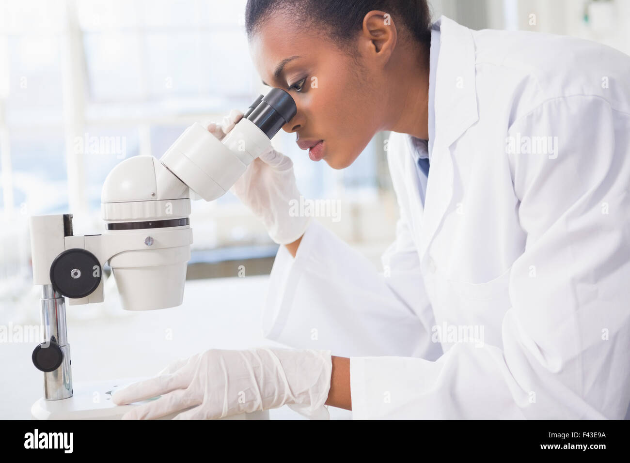 Scientist looking in microscope Stock Photo Alamy